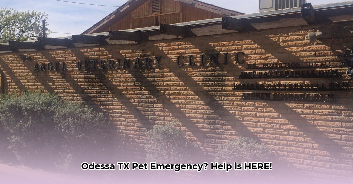 odessa-tx-emergency-vet